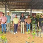 4793304 Untitled 55 Copy.webp.webp