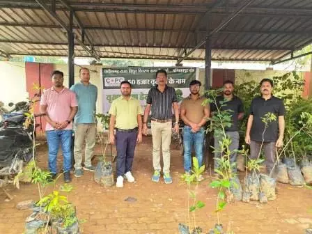 4793304 Untitled 55 Copy.webp.webp