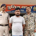 4795576 Untitled 32 Copy.webp.webp