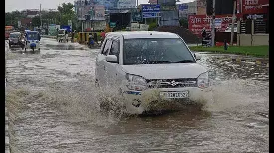 4795663 33.webp.webp