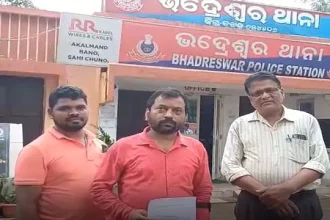 4796095 87.webp.webp