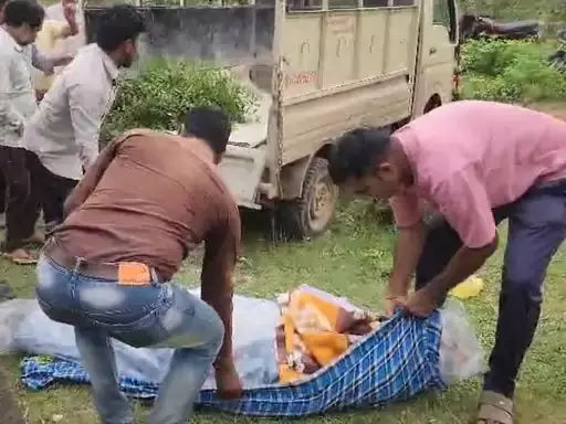 4796751 Untitled 30 Copy.webp.webp