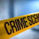 4797896 1 Copy.webp.webp