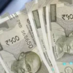 4798091 Untitled 15 Copy.webp.webp