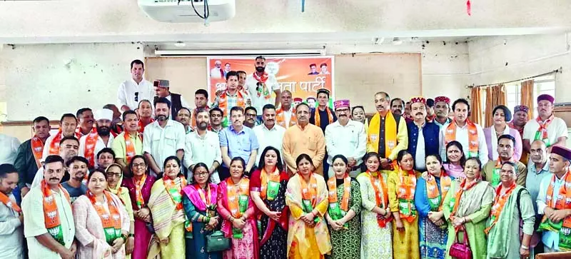 4799614 Untitled 21 Copy.webp.webp