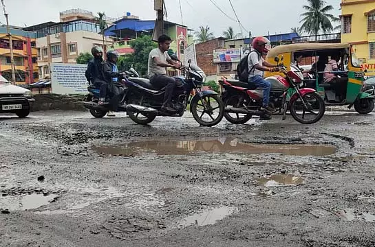 4800385 1 Copy.webp.webp