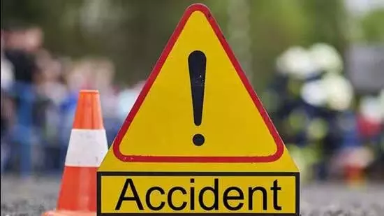 4802027 Untitled 19 Copy.webp.webp