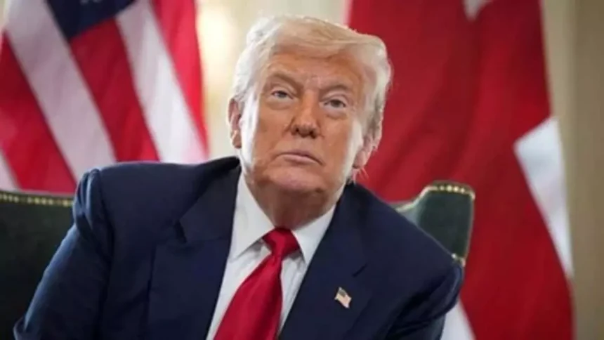 4802775 Us.webp.webp