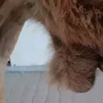 4802820 Untitled 12 Copy.webp.webp