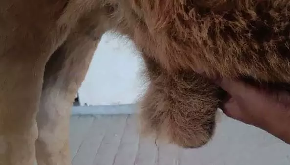 4802820 Untitled 12 Copy.webp.webp