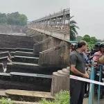 4805005 1 Copy.webp.webp