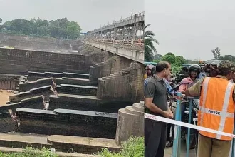 4805005 1 Copy.webp.webp