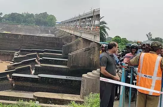 4805005 1 Copy.webp.webp