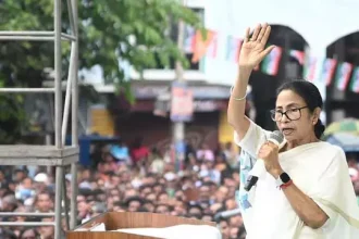 4805035 1 Copy.webp.webp