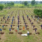 4807330 Untitled 17 Copy.webp.webp