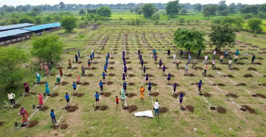 4807330 Untitled 17 Copy.webp.webp