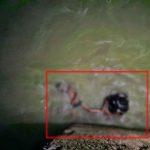 4809588 Untitled 16 Copy.jpg