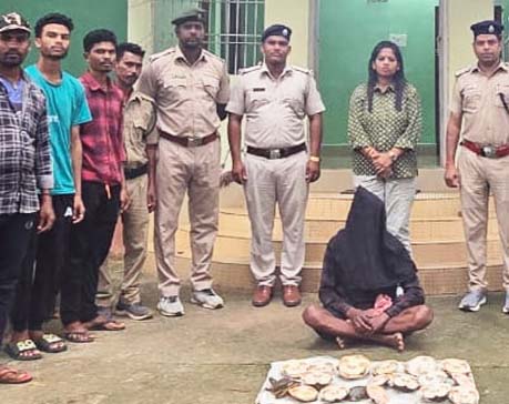 4809954 Untitled 28 Copy.jpg