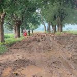 4810093 Untitled 51 Copy.jpg