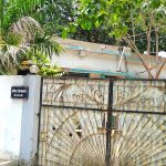 4813762 Untitled 52 Copy.jpg