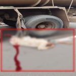 4818645 Untitled 25 Copy.jpg