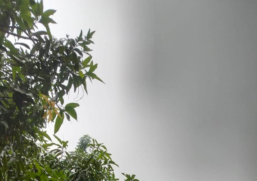 4818780 Untitled 9 Copy.jpg