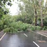 4819363 Untitled 4 Copy.jpg