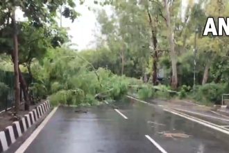 4819363 Untitled 4 Copy.jpg