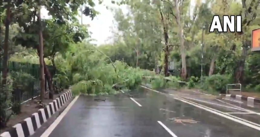 4819363 Untitled 4 Copy.jpg