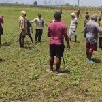 4822306 Untitled 2 Copy.jpg