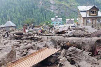 4822573 Untitled 63 Copy.jpg