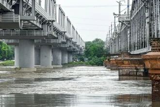 4822654 Yamuna 11755280778.jpg