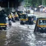 4822663 Images 80.webp.webp