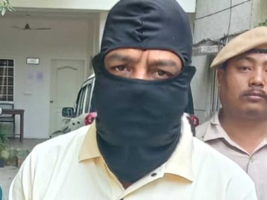 4822669 Untitled 5 Copy.jpg