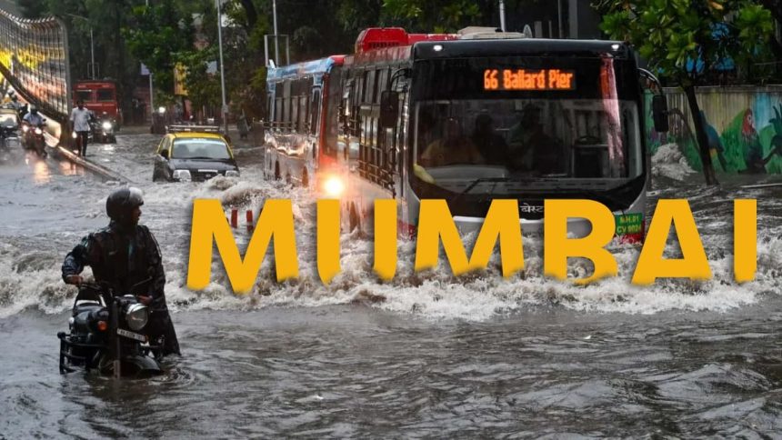 New Project 30 3 5 28 50 64 4 1 6.jpg