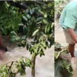 Screenshot 20250818 070955 Samsung Internet