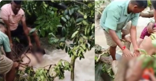 Screenshot 20250818 070955 Samsung Internet