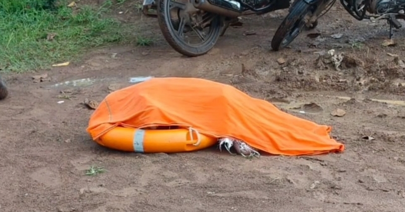 Screenshot 20250829 081031 Gallery