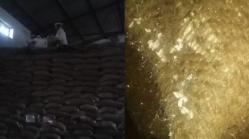 Whatsapp Image 2025 08 02 At 3.10.23 Pm.jpeg