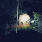 Whatsapp Image 2025 08 03 At 3.16.14 Pm.jpeg