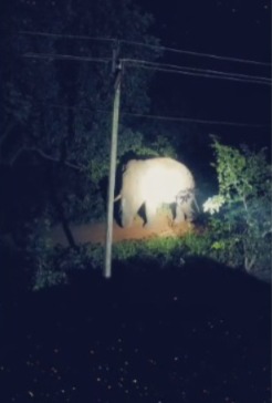 Whatsapp Image 2025 08 03 At 3.16.14 Pm.jpeg