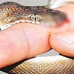 Whatsapp Image 2025 08 03 At 6.02.27 Pm.jpeg