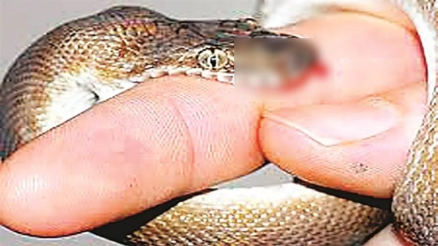 Whatsapp Image 2025 08 03 At 6.02.27 Pm.jpeg