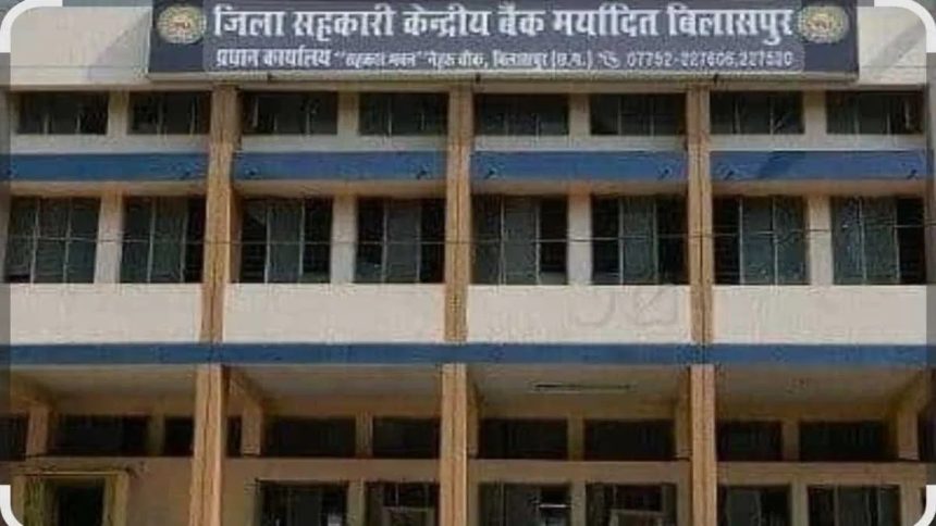 Whatsapp Image 2025 08 12 At 11.01.20 Am.jpeg