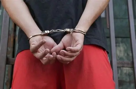 Whatsapp Image 2025 08 24 At 10.19.34 Am.jpeg