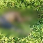 Whatsapp Image 2025 08 29 At 10.45.19 Am.jpeg