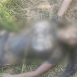 Whatsapp Image 2025 08 30 At 4.12.18 Pm.jpeg