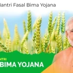 News Image 175483738210 08 2025 20 19 42.webp.webp