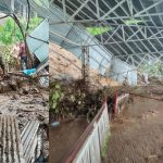 प्रधानमंत्री विकसित भारत रोजगार योजना 4 1.jpg