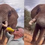 प्रधानमंत्री विकसित भारत रोजगार योजना 4 11 1 19.jpg